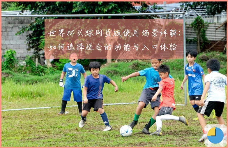 世界杯买球网页版使用场景详解：如何选择适合的功能与入口体验