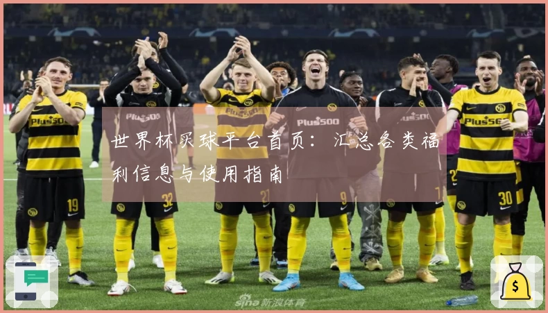 世界杯买球平台首页：汇总各类福利信息与使用指南