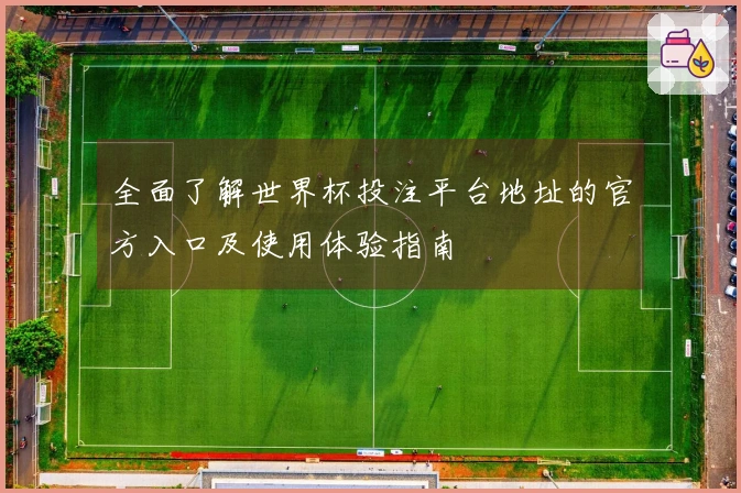 全面了解世界杯投注平台地址的官方入口及使用体验指南