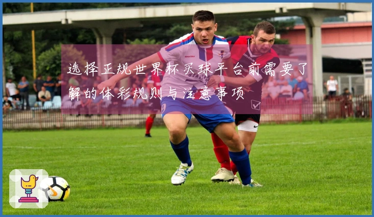 选择正规世界杯买球平台前需要了解的体彩规则与注意事项