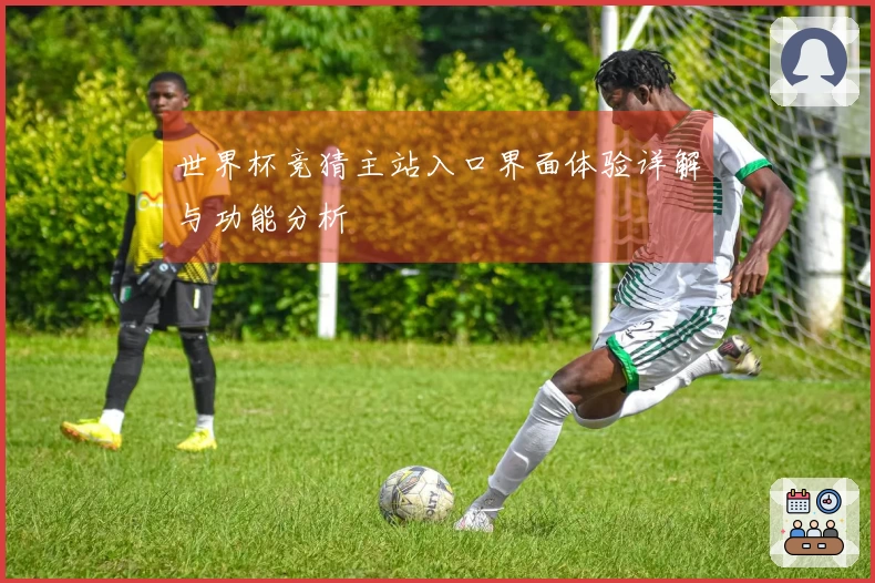 世界杯竞猜主站入口界面体验详解与功能分析