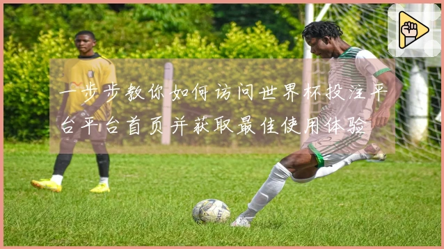 一步步教你如何访问世界杯投注平台平台首页并获取最佳使用体验