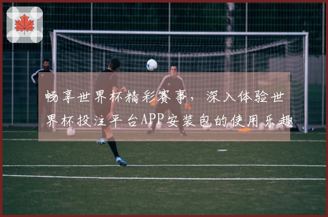 畅享世界杯精彩赛事，深入体验世界杯投注平台APP安装包的使用乐趣