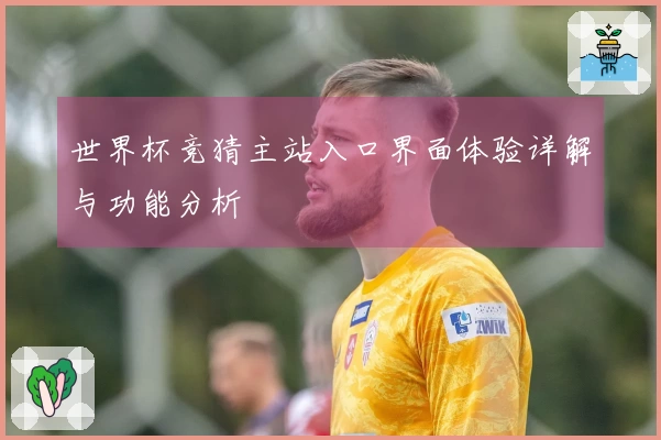 世界杯竞猜主站入口界面体验详解与功能分析