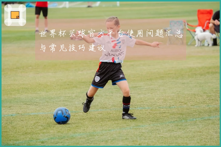 世界杯买球官方平台使用问题汇总与常见技巧建议