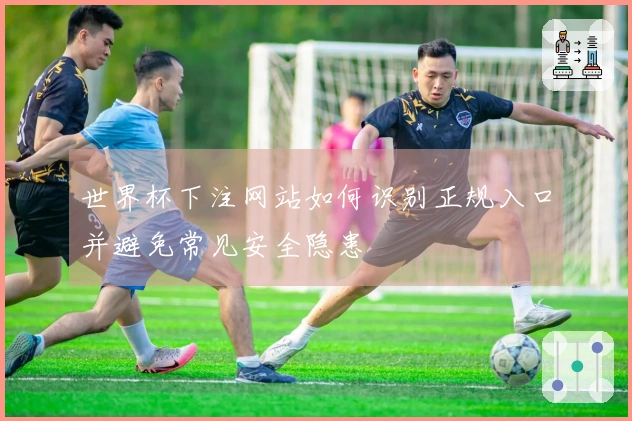世界杯下注网站如何识别正规入口并避免常见安全隐患