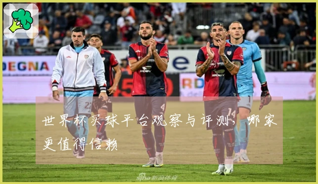 世界杯买球平台观察与评测，哪家更值得信赖